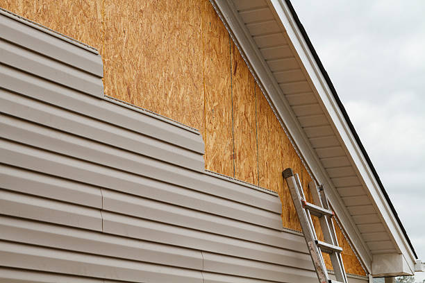 Professional Siding Repair technician working in Carlisle, KY